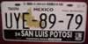 San Luis Potosí Crossroads License Plate