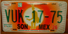 Sonora  Star Burst License Plate