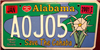Alabama  Save the Cahaba River License Plate