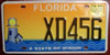 Florida A State of Vision License Plate
