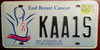 Florida End Breast Cancer License Plate