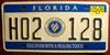 Florida Hospital College License Plate