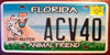 Florida Animal Friendly Pets License Plate