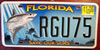 Florida Save Our Seas Shark License Plate