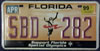 Florida Support Special Olympics License Plate