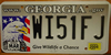 Georgia Bald Eagle License Plate