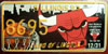 Illinois Chicago Bulls License Plate