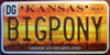 Kansas 'Big Pony' Vanity License Plate