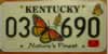 Kentucky Butterfly License Plate