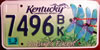 Kentucky Dragon Fly License Plate