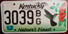 Kentucky Hummingbird License Plate