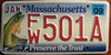 Massachusetts Environmental Wildlife Fish License Plate