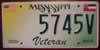 Mississippi Veteran License Plate