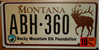 Montana Elk Rocky Mountain License Plate