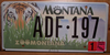Montana Zoo License Plate