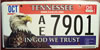 Tennessee In God We Trust Eagle License Plate