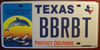 Texas Protect Dolphins License Plate