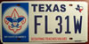 Texas Scouting Teaches Values License Plate