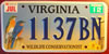 Virginia Bluebird Wildlife Conservationist License Plate