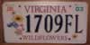 Virginia Wildflowers License Plate