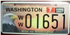 Washington Bald Eagle Environmental License Plate