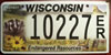 Wisconsin Badger Environmental  License Plate